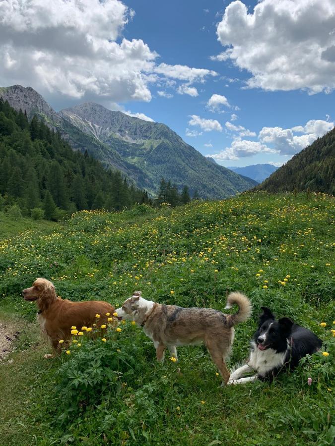 La Mansarda Di Casa Vacanze La Vite Bordogna Exteriör bild