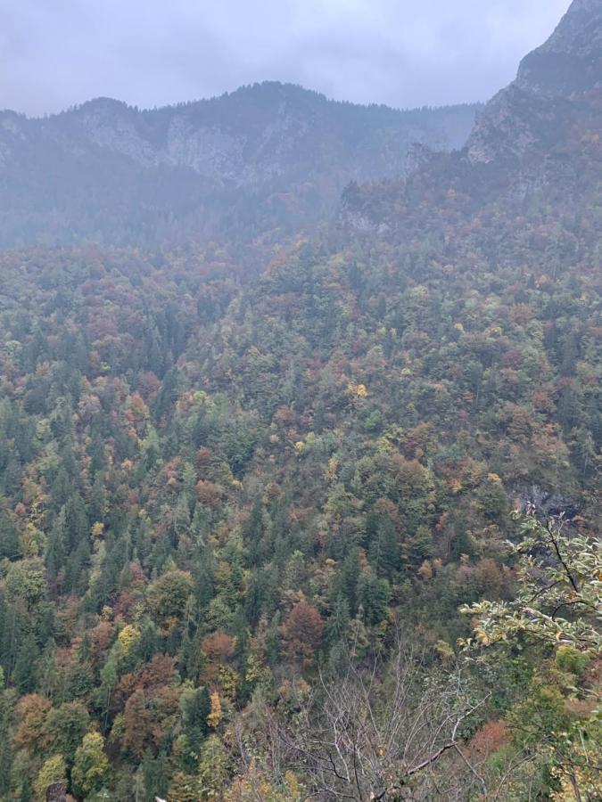 La Mansarda Di Casa Vacanze La Vite Bordogna Exteriör bild